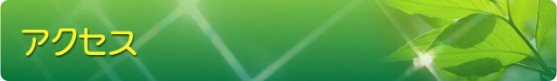 ANZX