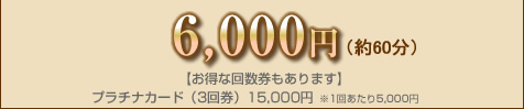 6,000~i60jyȉ񐔌܂zv`iJ[hi3񌔁j15,000~ 1񂠂5,000~